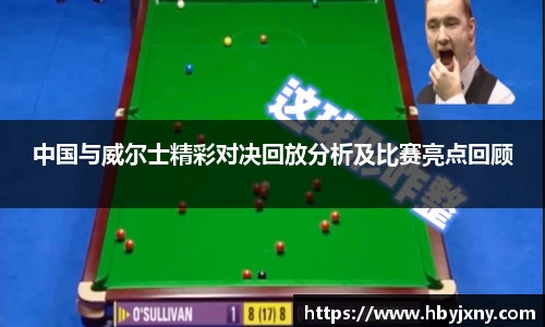 中国与威尔士精彩对决回放分析及比赛亮点回顾